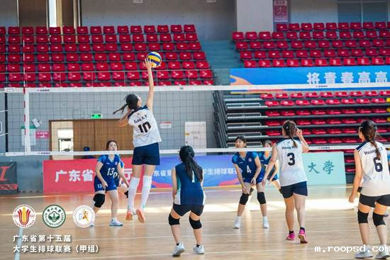 7995fce0b29407594d24d2b6a36955ea