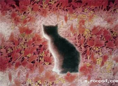 22562c0dda5ec46c70de6273002cca6