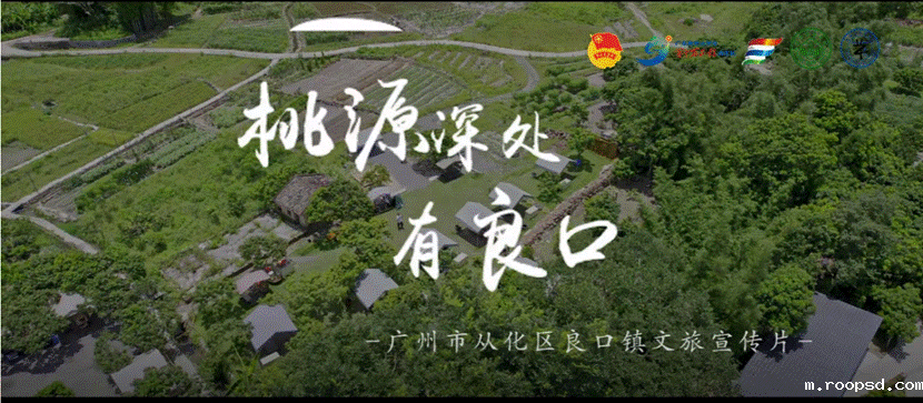 微信图片_20240725155941